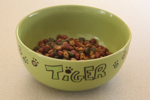 sharpie cat bowl (via creativityunmasked)