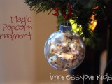 Homemade Magic Popcorn Christmas Ornament