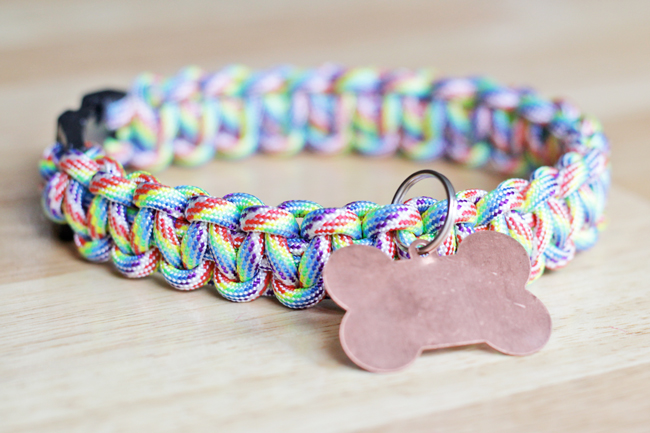 rainbow paracord dog collar