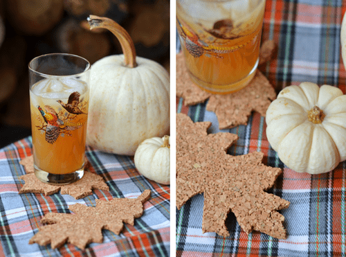 10 Cool DIY Fall Coasters Of Different Materials