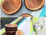 wood branch coasters