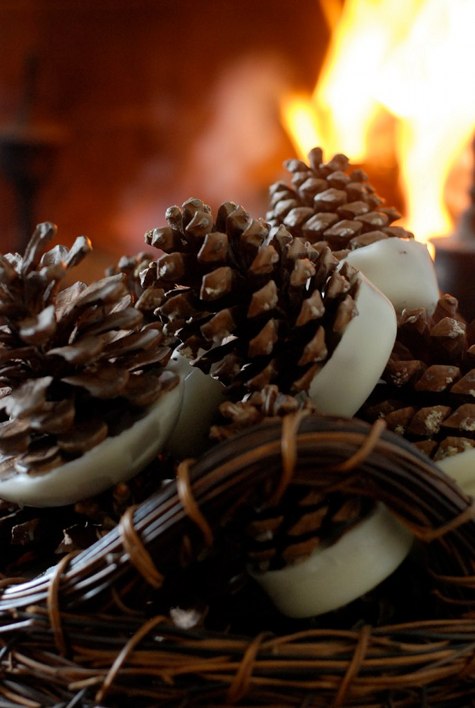 pinecone fire starters with essential oils