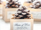pinecone fire starter favors