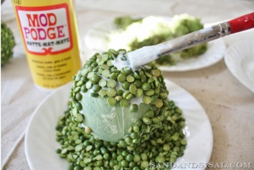 Cool Diy Peas And Moss Balls For Decoration
