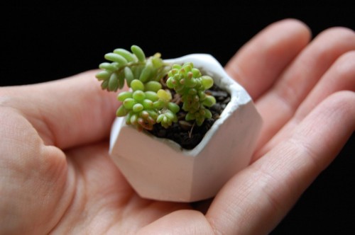 Cool DIY Tiny Clay Pots