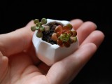 Cool Diy Tiny Clay Pots
