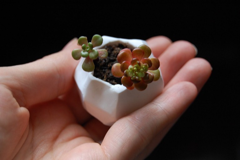 Cool Diy Tiny Clay Pots