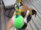 yarn scrap dog toy