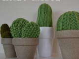 knitted cactus