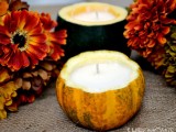 mini pumpkin candles