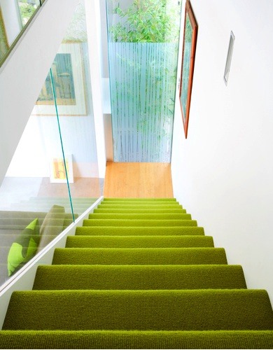 If you don't have a lawn you might want to choose a carpet that reminds grass for your stairs.