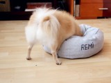 round pet pillow bed
