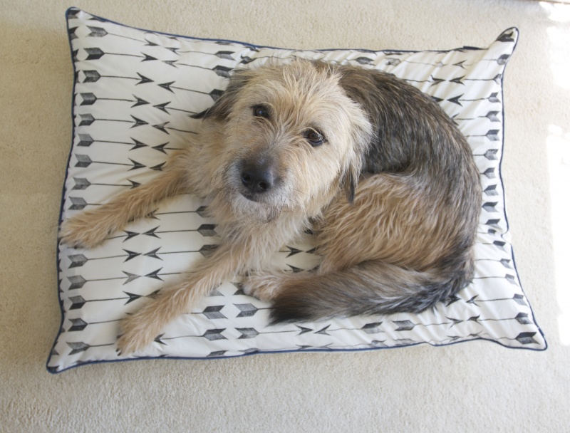 block printed dog bed (via redhousewest)