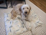 pillow case dog bed