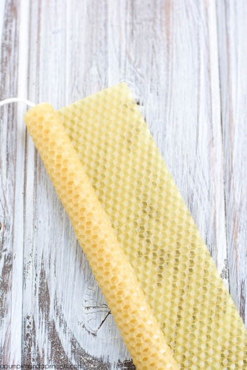 Creative And Easy DIY Beeswax Candles