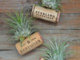 wine bottle cork magnets with air plants