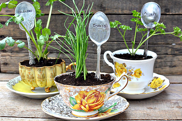 spoon plant markers