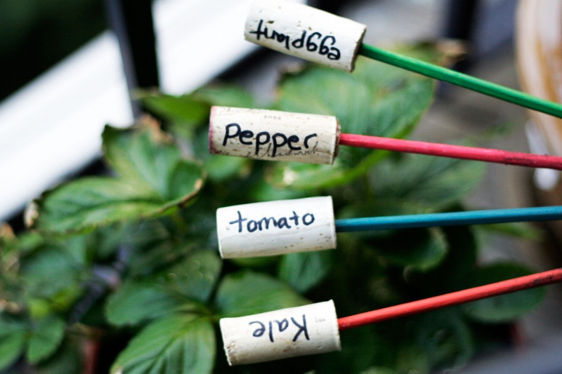 easy cork plant markers