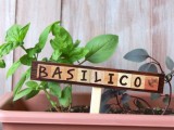 wooden plant markers