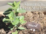reusable plant markers