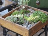 tabletop miniature garden