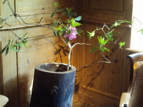 Tree Stump Flower Pot