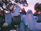 a graveyard with pumpkins and ghosts is a bold scary backyard decoration you may create for Halloween