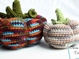 cute-and-cozy-diy-crocheted-pumpkins-1