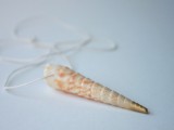 cool seashell necklace
