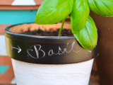 chalkboard herb pot