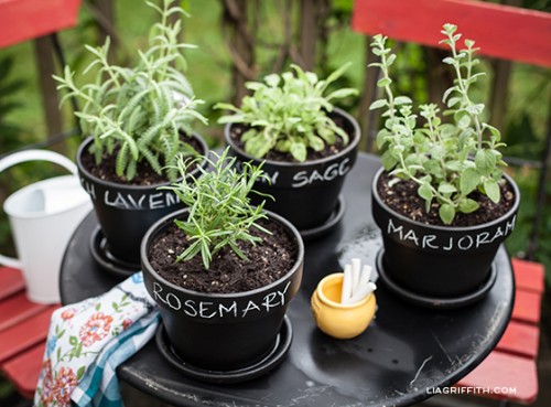 chalkboard garden pots (via liagriffith)