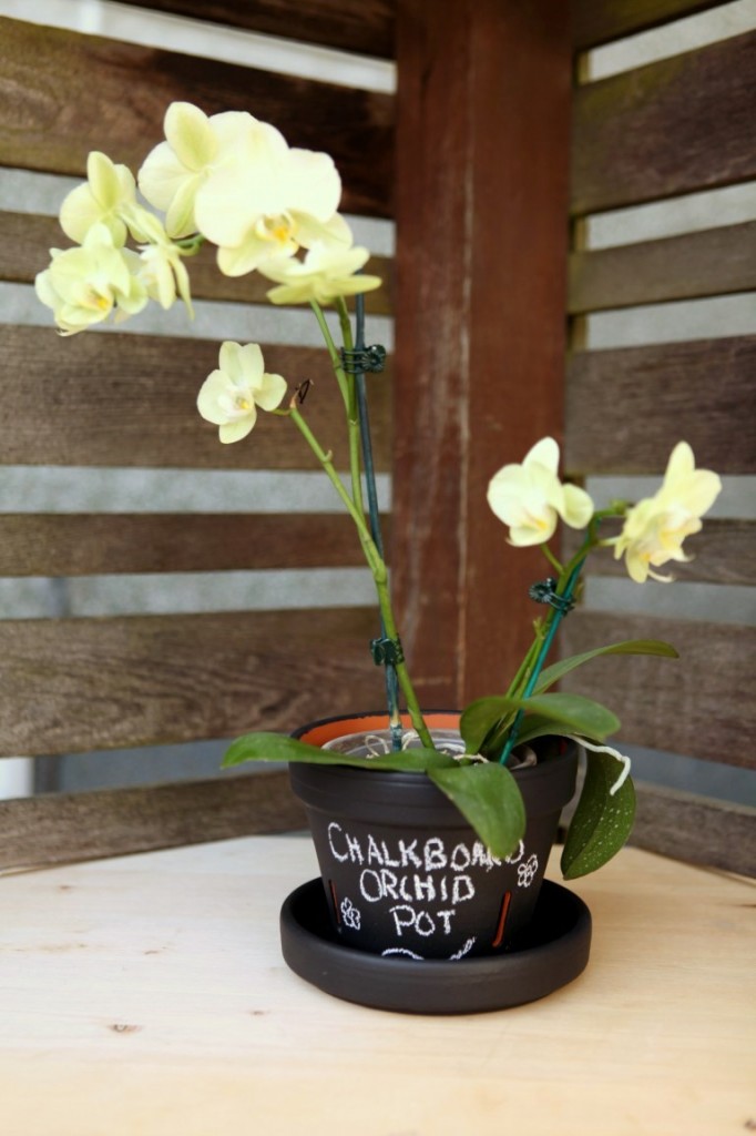 chalkboard orchid planter  (via gardentherapy)