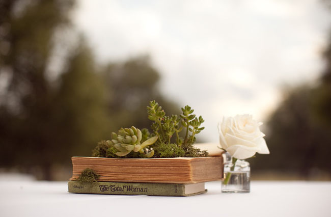 Cute Diy Succulent Book Planters