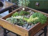 Cute Diy Tabletop Mini Garden