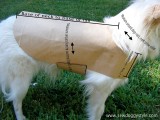 dog coat pattern