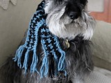 frivolous pet scarf
