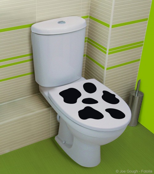 Decorating Toilets With Vinyl Stickers