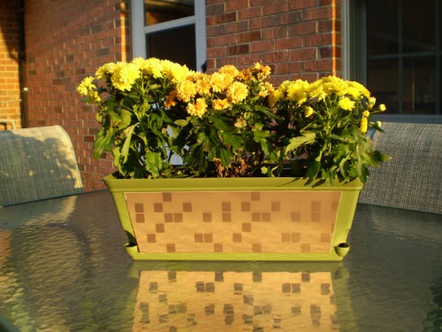 DIY Autumn Planter Upgrade With Copper Backsplash