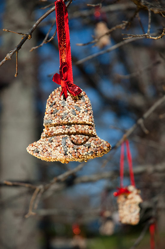 bell-shaped birdseed ornaments (via knucklesalad)