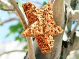 star-shaped birdseed ornaments