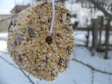 simple round birdseed ornaments