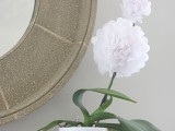 Diy Blooming Orchid