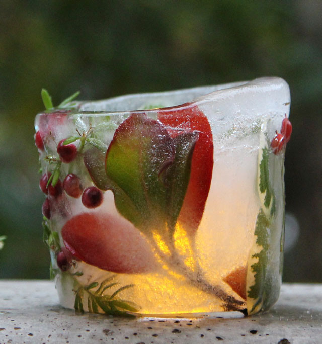 Picture Of diy botanical ice luminaries for outdoors  2