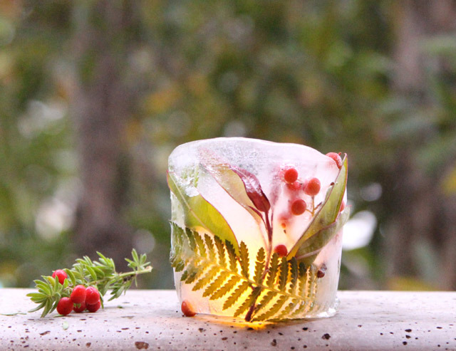 Picture Of diy botanical ice luminaries for outdoors  3