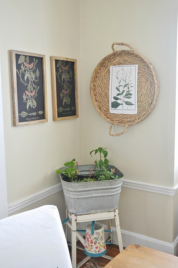 botanical basket wall art