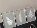 white framed botanicals