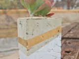 Diy Cement Planters For Succulents