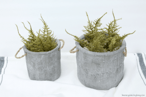 Diy Concrete Herb Garden To Make