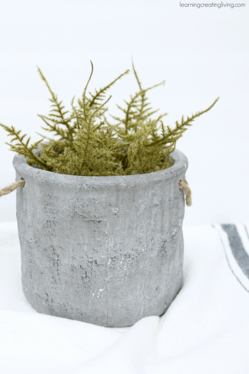 Diy Concrete Herb Garden To Make