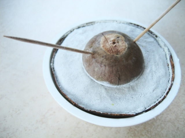 Diy concrete tealight holder from an avocado shell  3